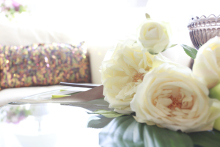 神戸・三宮|まつ毛・エクステンション&スクール|カルジェルネイル「GRACE」(グレース)|ブログ