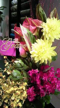 神戸・三宮｜まつ毛・エクステンション＆スクール｜カルジェルネイル「GRACE」（グレース）｜ブログ