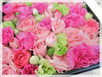 神戸・三宮|まつ毛・エクステンション&スクール|カルジェルネイル「GRACE」(グレース)|ブログ